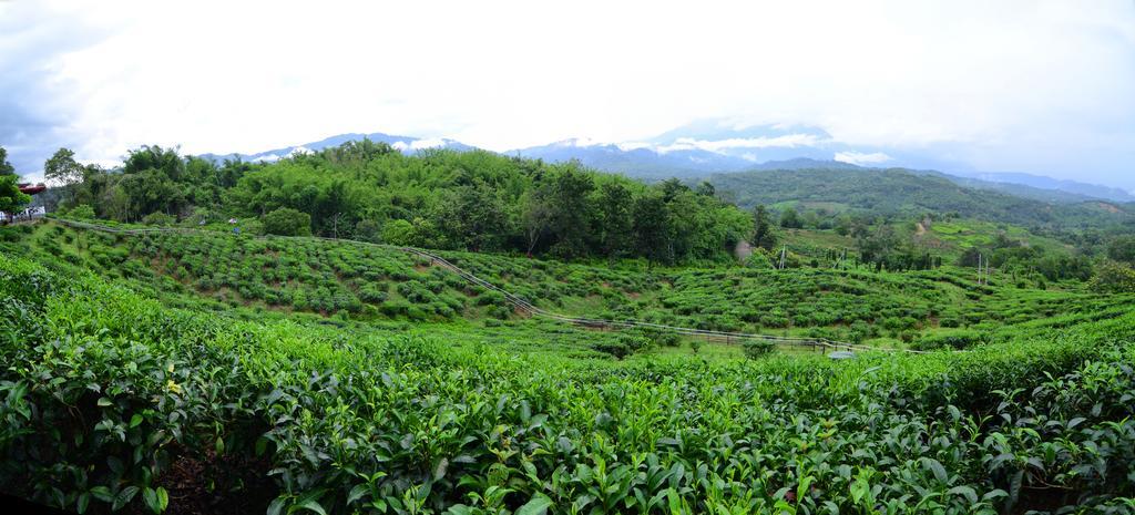 Pondok Sabah Tea Garden