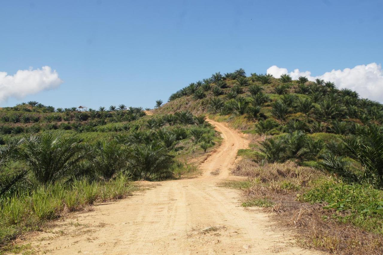 Sabah Tea Garden Pondok